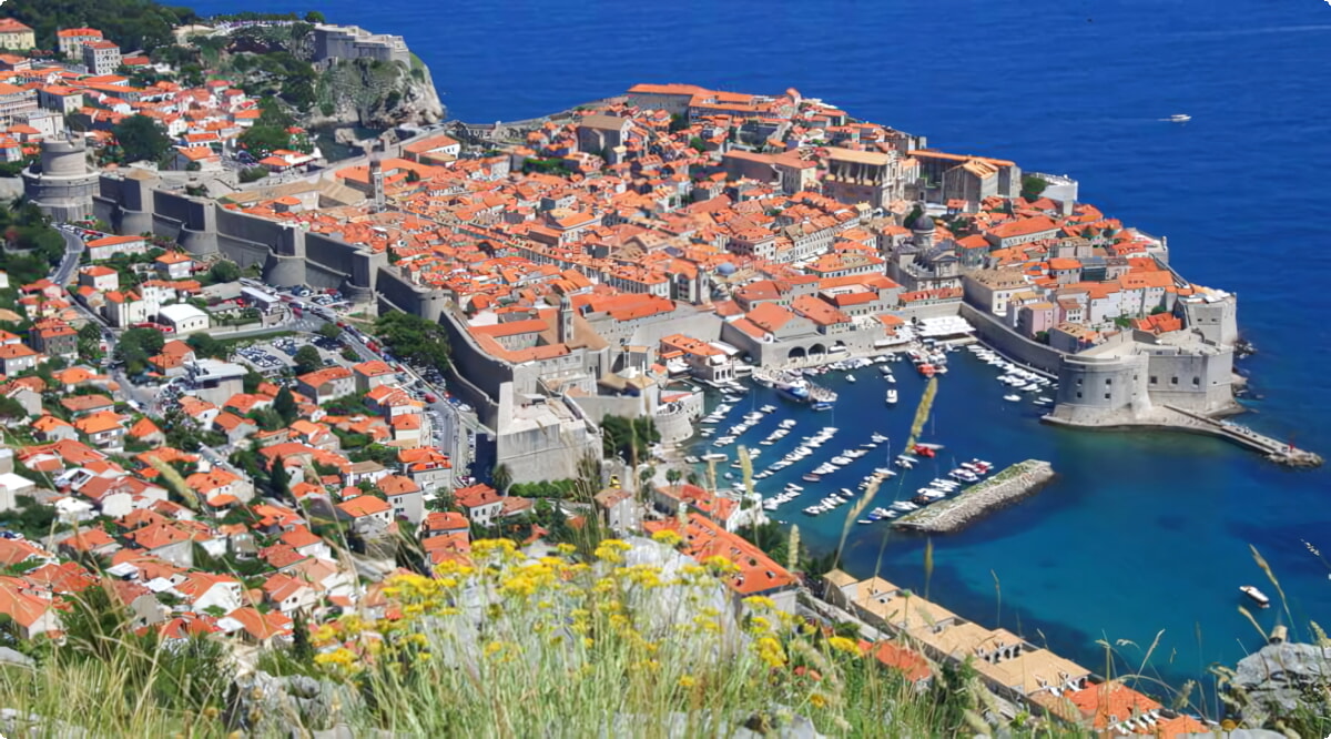 Nuestro inventario incluye una amplia variedad de vehículos.